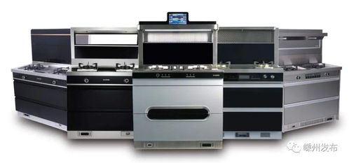 嵊州廚具攜手蘇寧易購，探索廚衛(wèi)電商新模式